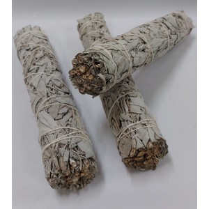 Tocha Salvia Branca 9" 22-23cm